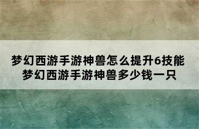 梦幻西游手游神兽怎么提升6技能 梦幻西游手游神兽多少钱一只